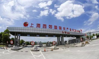 谁做的这本上海生活指南 老结棍了 走遍上海不用愁