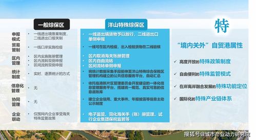 自贸调研手记 上海临港 离世界很近