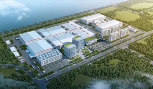 宁德时代临港产业项目等一批临港新片区建设项目集中开工